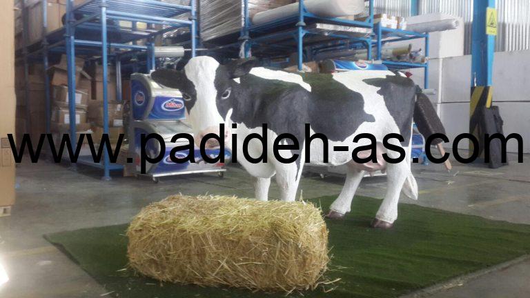 ماکت تبلیغاتی محصولات میهن